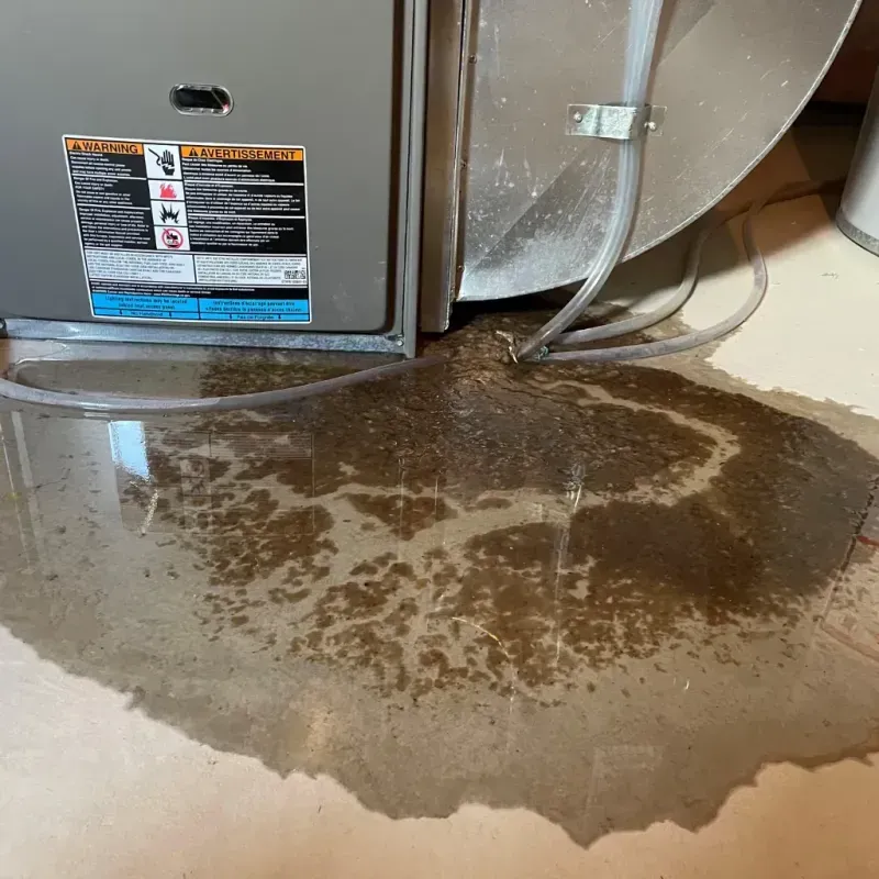 Appliance Leak Cleanup in Savoy, IL